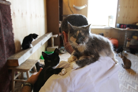 Ветеринар в приюте. Фото со страницы «Томасины» во «ВКонтакте»