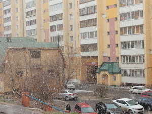 Во время снегопада. Фото Владимира Смирнова