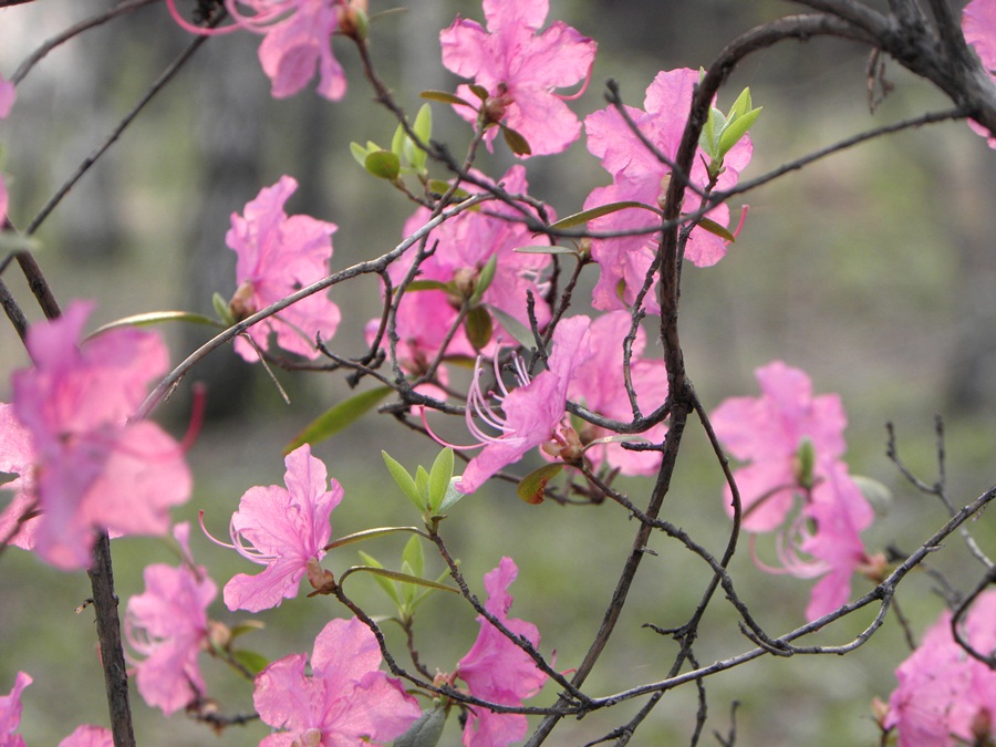 Фото Юрия Орлова