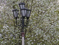 Фото Елены Алексеевой