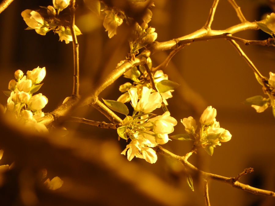 Фото Юрия Орлова