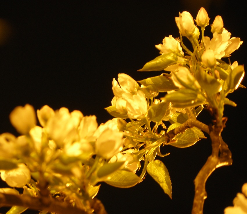 Фото Юрия Орлова