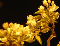 Фото Юрия Орлова