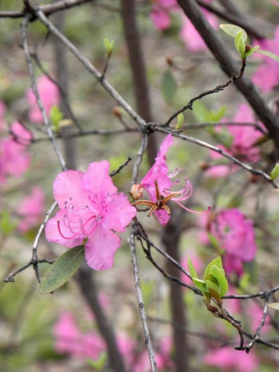 Фото Юрия Орлова