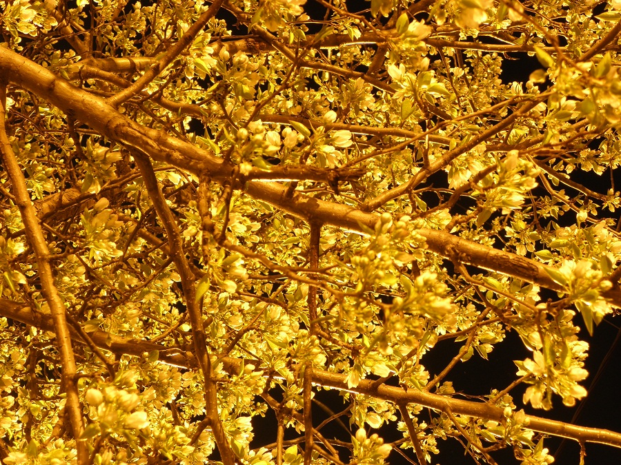 Фото Юрия Орлова