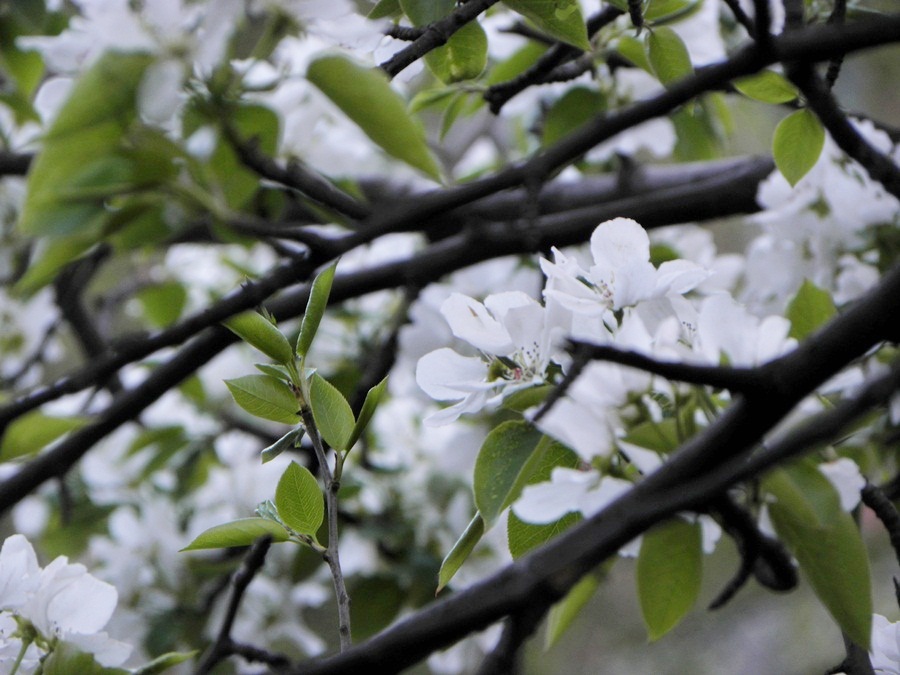 Фото Юрия Орлова