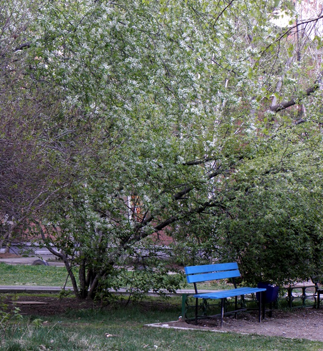 Фото Юрия Орлова