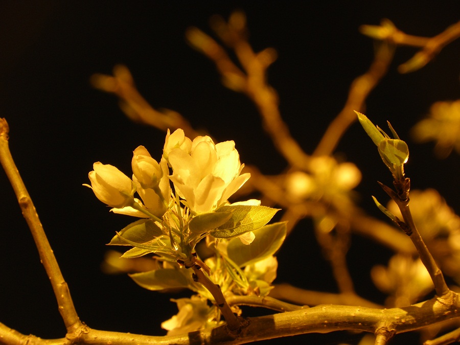 Фото Юрия Орлова