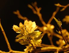 Фото Юрия Орлова
