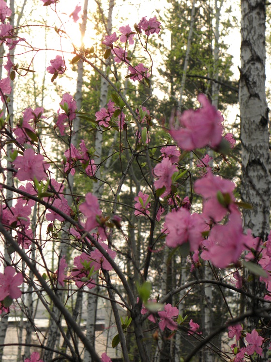 Фото Юрия Орлова