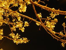 Фото Юрия Орлова