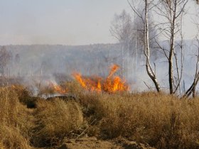 Торфяной пожар. Фото пресс-службы ГУ МЧС России по Иркутской области