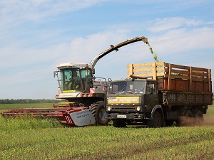 Сельскохозяйственные работы. Фото пресс-службы правительства Иркутской области