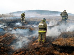 Тушение торфяников. Фото пресс-службы ГУ МЧС по Иркутской области