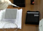 Оборудование ДНК-лаборатории. Фото предоставлено ГУ МВД России по Иркутской области