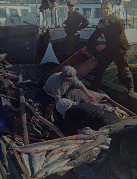 Рыбаки. 1960. Открытка