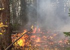 Лесной пожар в Усть-Кутском районе. Автор фото — Никита Пятков
