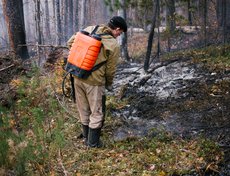 В Усть-Кутском районе, в 60 километрах от поселка Верхнемарково, рядом с федеральной трассой Вилюй, действует пожар.