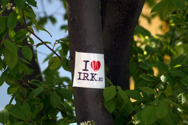 Автор фото - Яна Ушакова