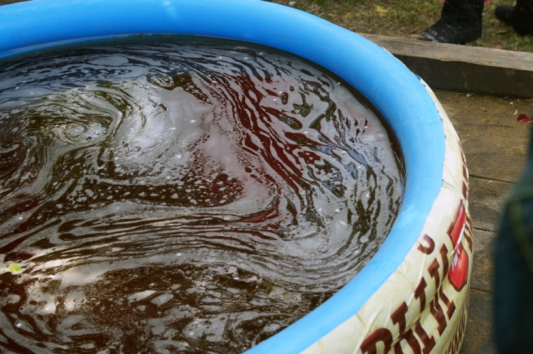 Автор фото - Яна Ушакова