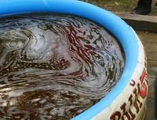 Автор фото - Яна Ушакова