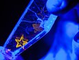 Флуоресцентные изображения, созданные иркутскими учеными в кристалле при помощи особого лазерного излучения
