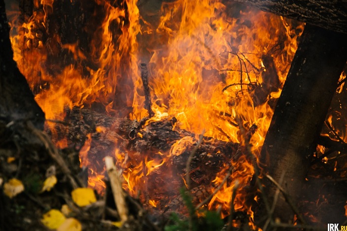 Огонь. Фото ИА «Иркутск онлайн»