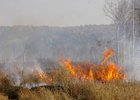 Торфяной пожар. Фото пресс-службы ГУ МЧС России по Иркутской области