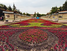 День молодежи в Иркутске. Фото Евгении Миллер