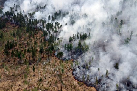 Фото ГУ МЧС России по Иркутской области