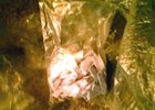 Изъятые наркотики. Фото пресс-службы УМВД России по Иркутску