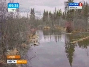 Звезда в небе новости