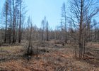 В лесу. Фото пресс-службы ГУ МВД России по Иркутской области