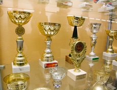 Спортивные награды школы