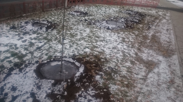 На улице Мира в Иркутске-2. Фото с сайта pikabu.ru