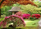 Японский сад. Фото с сайта www.bykhov.by