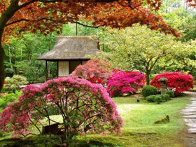 Японский сад. Фото с сайта www.bykhov.by