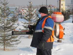 Во время обработки. Фото пресс-службы администрации Иркутска