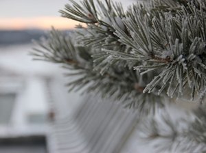 Зимой в Иркутской области. Фото с сайта www.vk.com