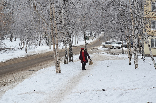 Автор фото — Илья Татарников