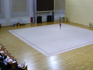 Гимнастический зал. Фото с сайта www.volkova.jino.ru