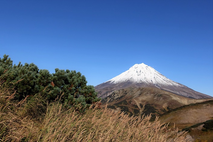 Вилючинский