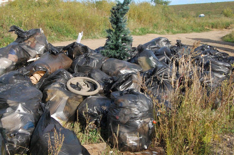 Кто-то из горожан посчитал, что выбросить искусственную елку и старый руль нужно именно на берег Ангары