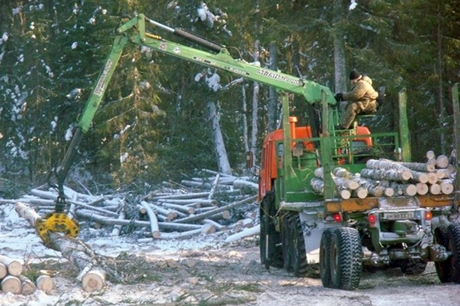 Погрузка лесоматериалов. Фото с сайта www.permsrub.ru