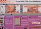 Защитные признаки банкнот. Фото пресс-службы ГУ МВД России по Иркутской области