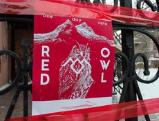 Ресторан Red owl, хозяйку Ольгу Койкову не застали, зато нас встретили две милые девушки, помогли с меню, проводили за столик