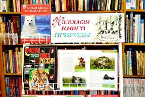 Картинки жалобной книги в природе Картинки жалобной книги в природе