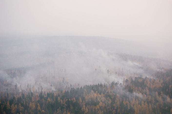 Лесные пожары. Фото Никиты Пяткова