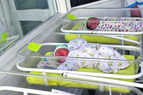 Новорожденные. Фото с сайта gtrk-saratov.ru