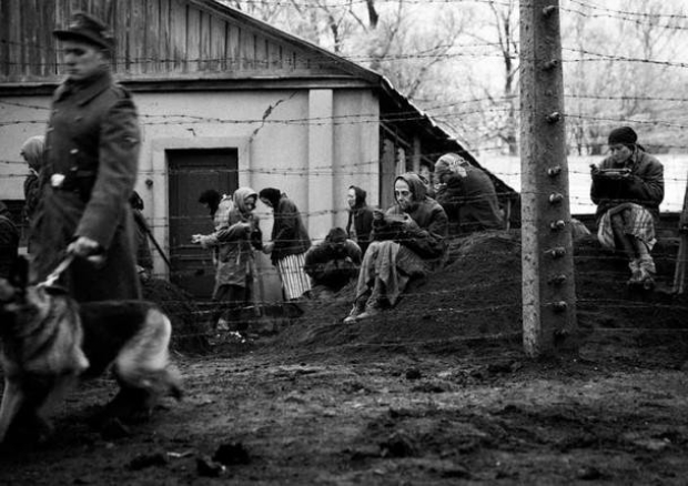 Фильм не знакомит зрителя с новыми подробностями Второй мировой войны. Фото с сайта www.kinopoisk.ru